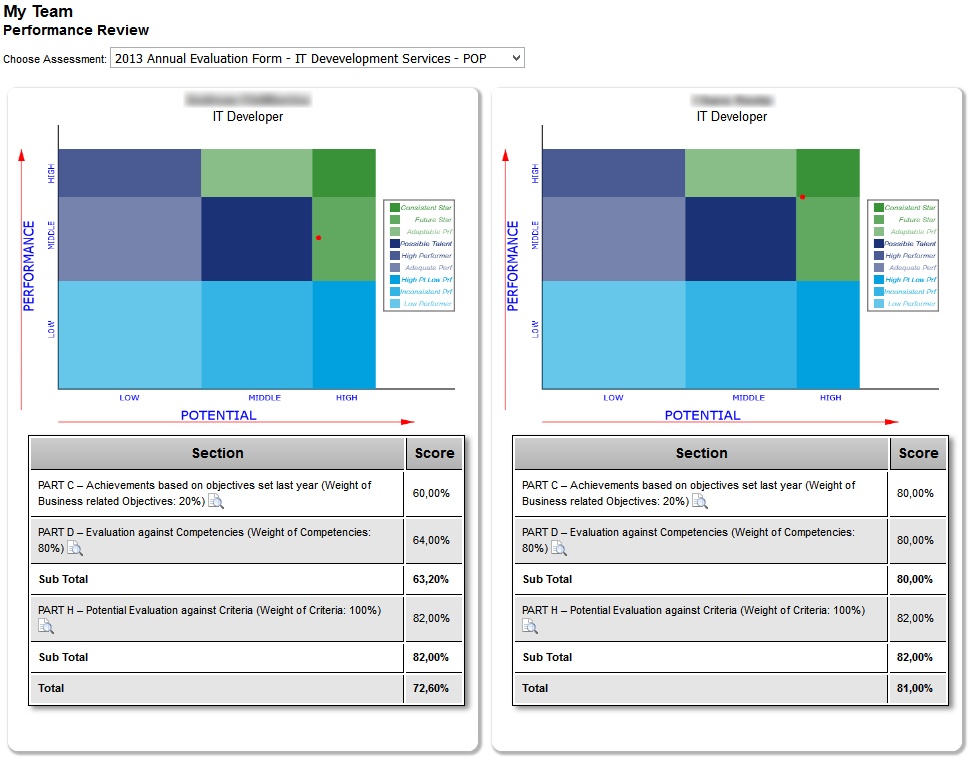 My Team - Performance Review